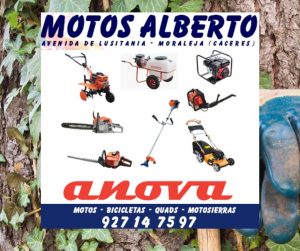 MOTOS ALBERTO