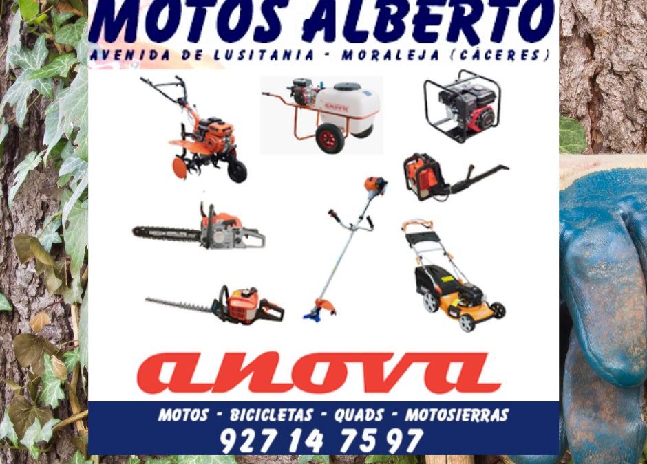 MOTOS ALBERTO