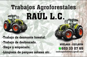 Raul Lucero Caro